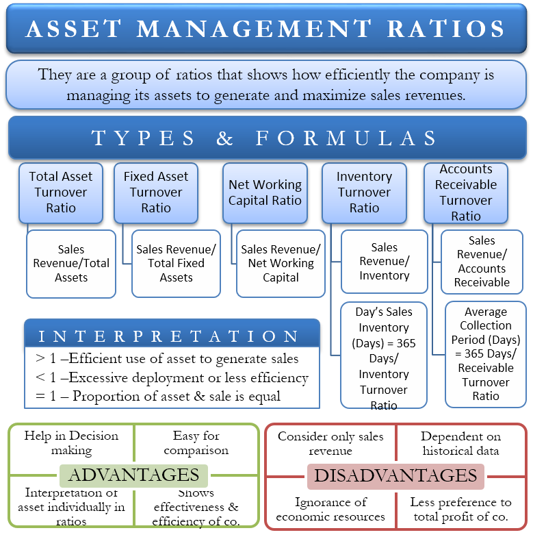 Asset Management Ratios