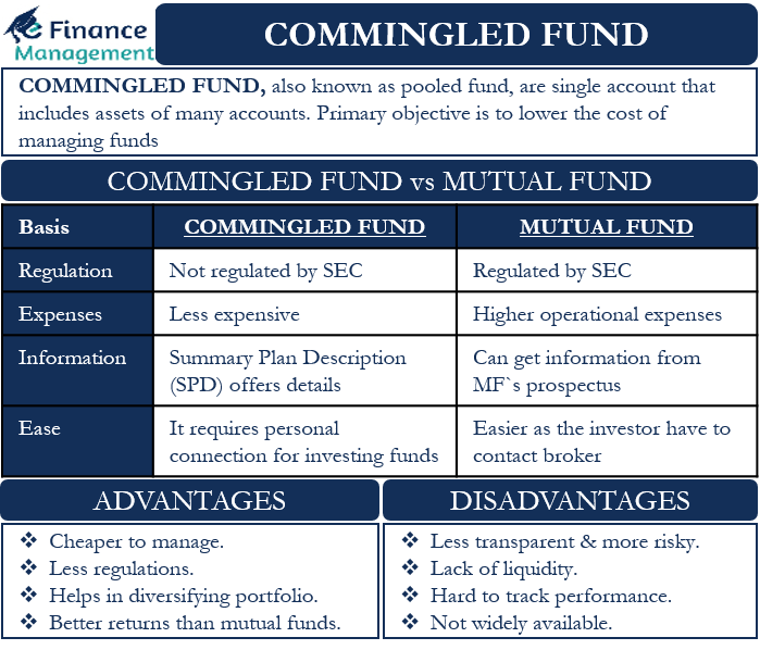 Commingled Fund Meaning Example Advantages And More