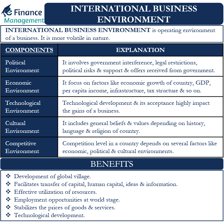 international business environment