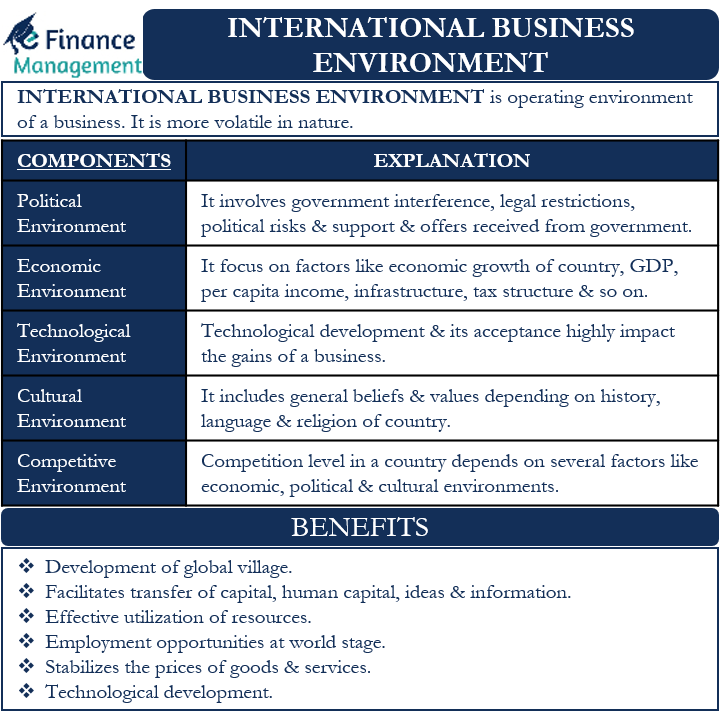 international business environment essay