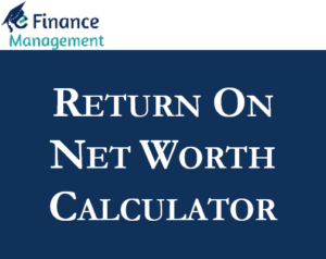 Return on Net Worth Calculator
