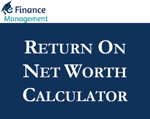 Return on Net Worth Calculator