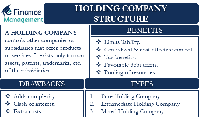 Holding Company Structure How It Works Benefits And More Holding Company Structure How It Works Benefits And More