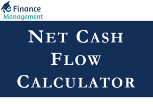 Net Cash Flow Calculator