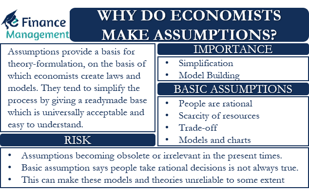 Why do Economists make Assumptions