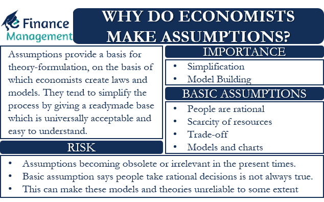 EFinanceManagement Why Do Economists Make Assumptions 