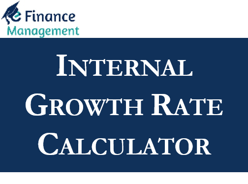 Internal Growth Rate Calculator - eFinanceManagement