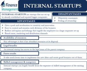 Internal Startups