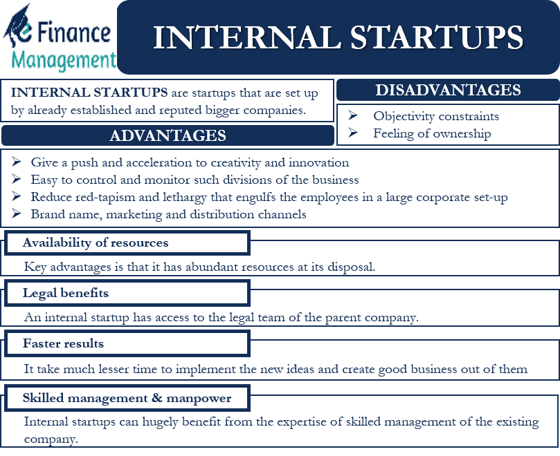 Internal Startups