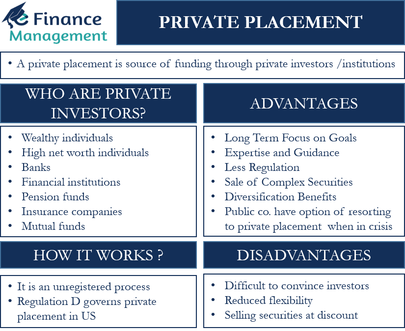 Private Placement Meaning Work Advantages Disadvantages Example