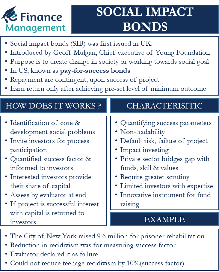 social impact bond case study
