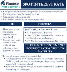 spot-interest-rate