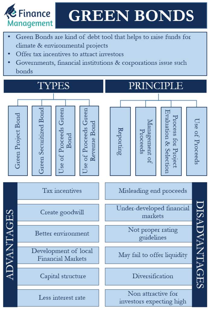 green bonds master thesis