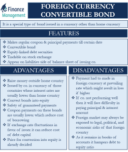 foreign-currency-convertible-bond