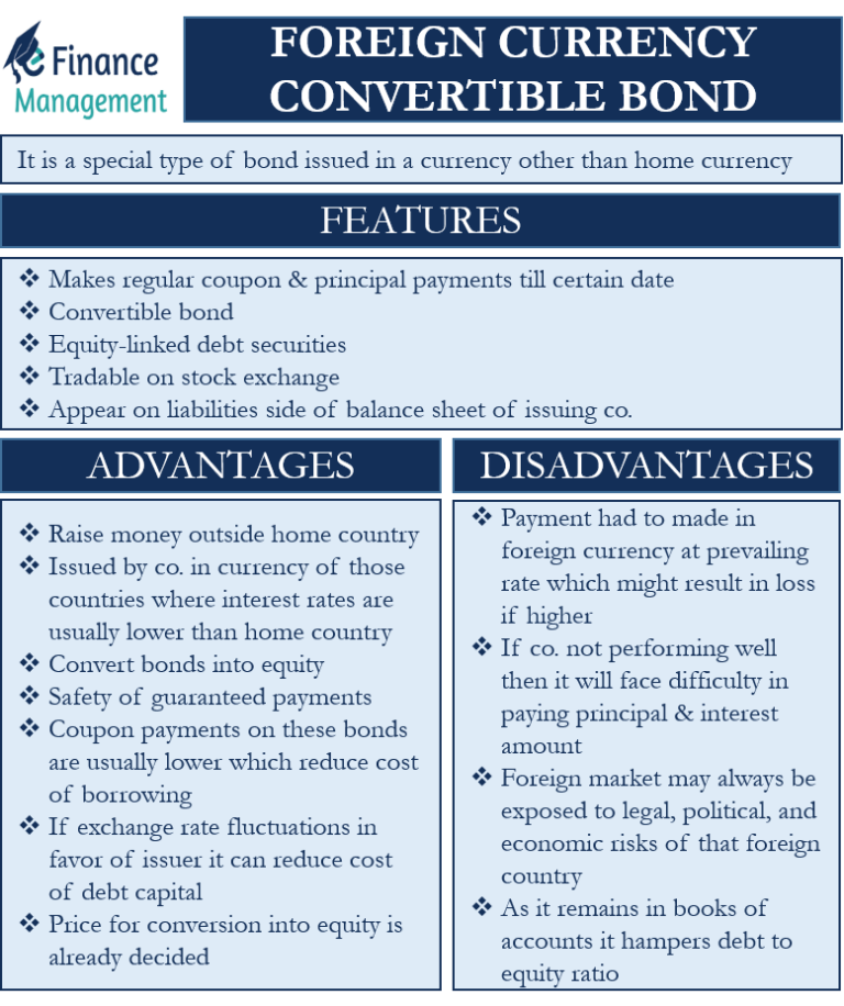 Foreign Currency Convertible Bond (FCCB)