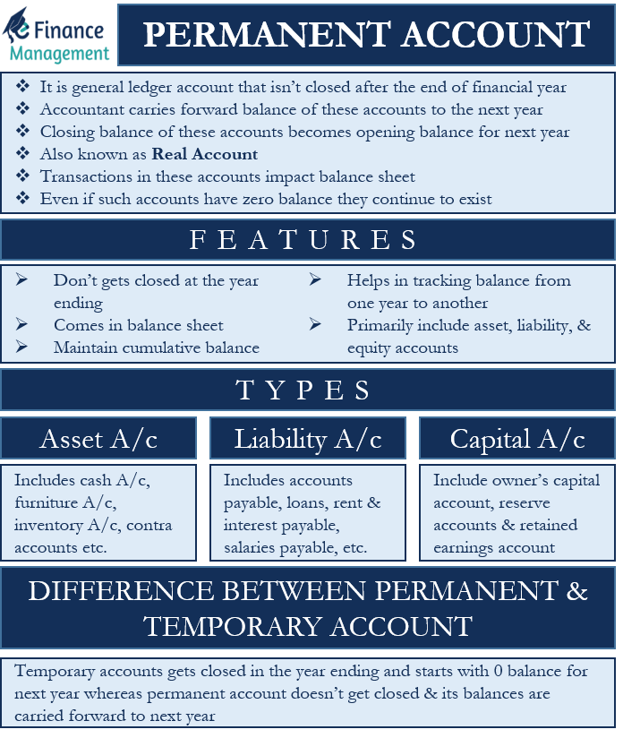 Permanent Account Meaning Feature Types and Example eFM