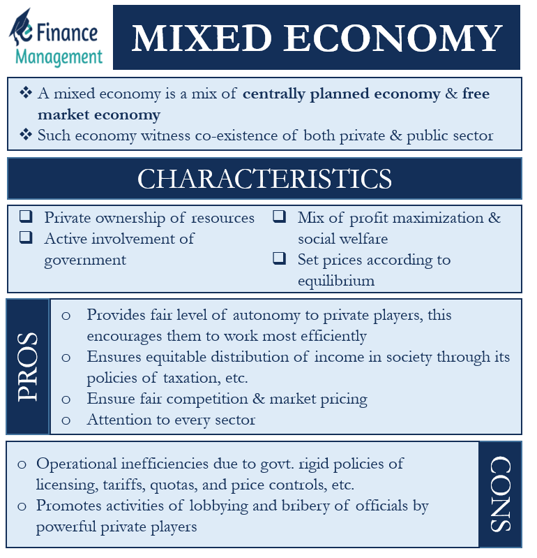 write an essay on mixed economy