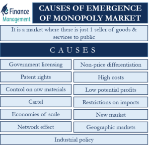 causes-of-emergence-of-monopoly-market