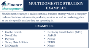 Multidomestic Strategy Examples