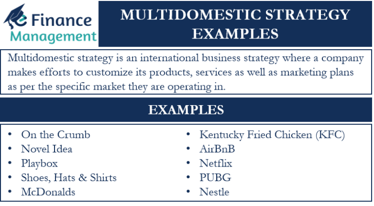 multidomestic-strategy-examples