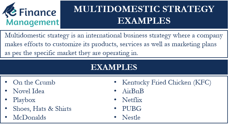 Multidomestic Strategy Examples