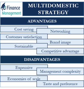 advantages-and-disadvantages-of-multidomestic-strategy